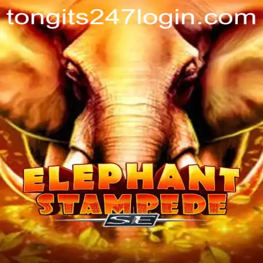 ElephantStampedeSE: The New Gaming Phenomenon with TONGITS247